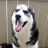 Jump over (@supkickz) 's Twitter Profile