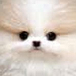 えっちできればぜんぜんＯＫ(≧ω≦)リアルで会える人をガチで募集中！