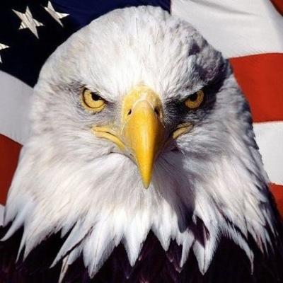 RoryTamminga's profile picture. Further Right than most, 12 year Army Reserve Veteran, Believer and Protector of the US Constitution......God, Family, Country.....Walleyes!