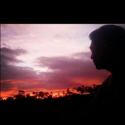 New Tweet