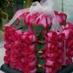زهره الجوري (@4200250) Twitter profile photo زهره الجوري (@4200250) Twitter profile photo