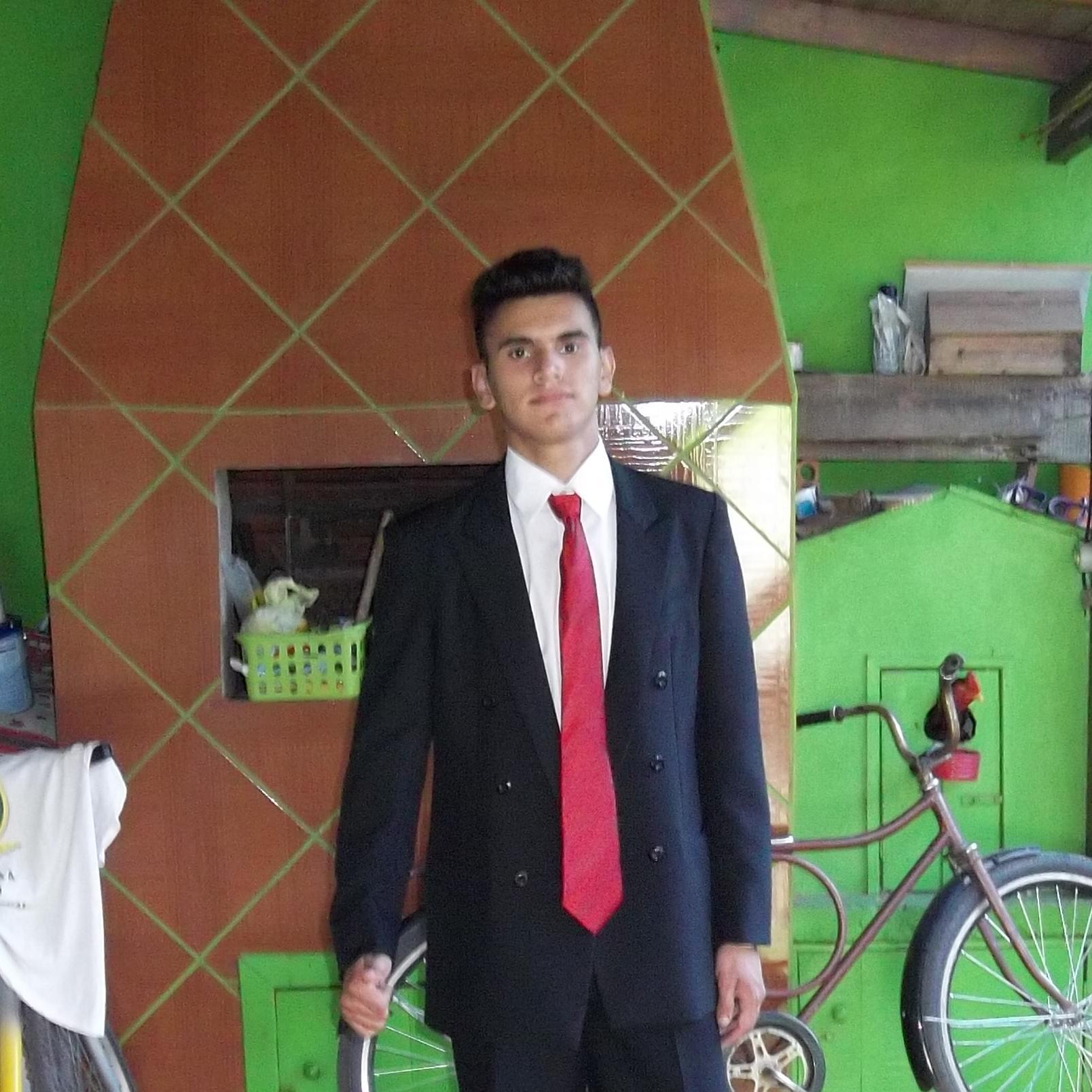 MateusRipp's profile picture. m