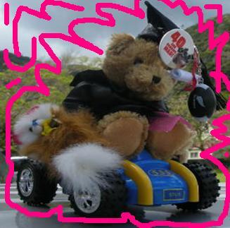 stuebear's profile picture. Special mascot weekly prize hrConnect+ project.