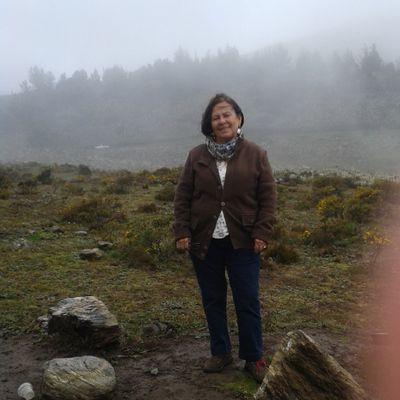 Universidad de Los Andes