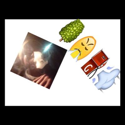 doodathomas1's profile picture. 