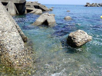 264804239pazudo's profile picture. フレンド募集264804239    パズドラ