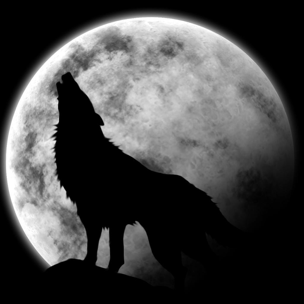 Fadjabtiiii's profile picture. Grand amateur de Funk et big fan du Standard.