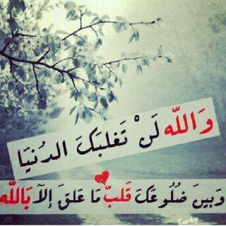 اهرب حيث شئت لكن لا تنسى :﴿ إنّ إلى رَبِّكَ الرُّجْعى ﴾ ….واعمَل ماشئتَ فهناك كتابٌ :﴿ لايُغادرُ صغيرةً ولا كَبِيرَة ًإلا أَحصَاهَا﴾ ...اليوم : يُقبل منك ﴿مِثقا