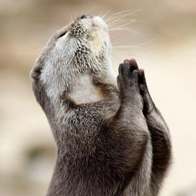 Bxnzyy's profile picture. New twitter @ScumbagBenzy