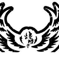 AVHS Girls Ultimate (@avhsgirlsulty) 's Twitter Profile