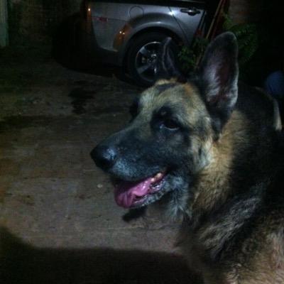 Medical doctor, aficionado al fútbol chiva de corazón.. animalista por convicción , mi origen fifi me impide ser socialista