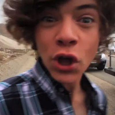 Life is a rollercoaster that only goes up my friend ♡ 1D is lifeee♡