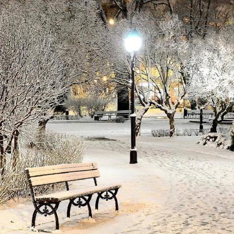 idpr2015's profile picture. 