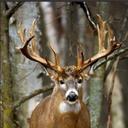 Patrick Brumfield - @patdan1 - Twitter