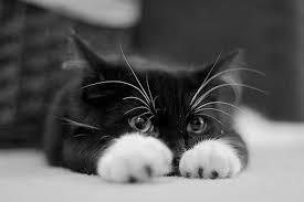 seeing the world from afar..