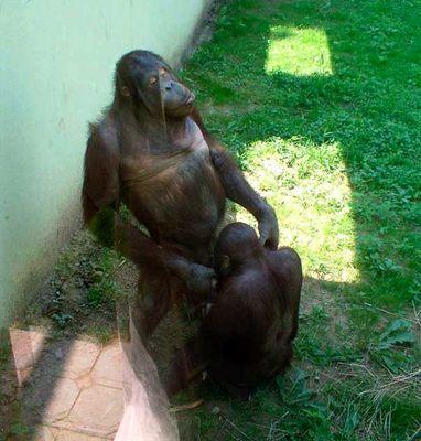 batakenkenken's profile picture. 