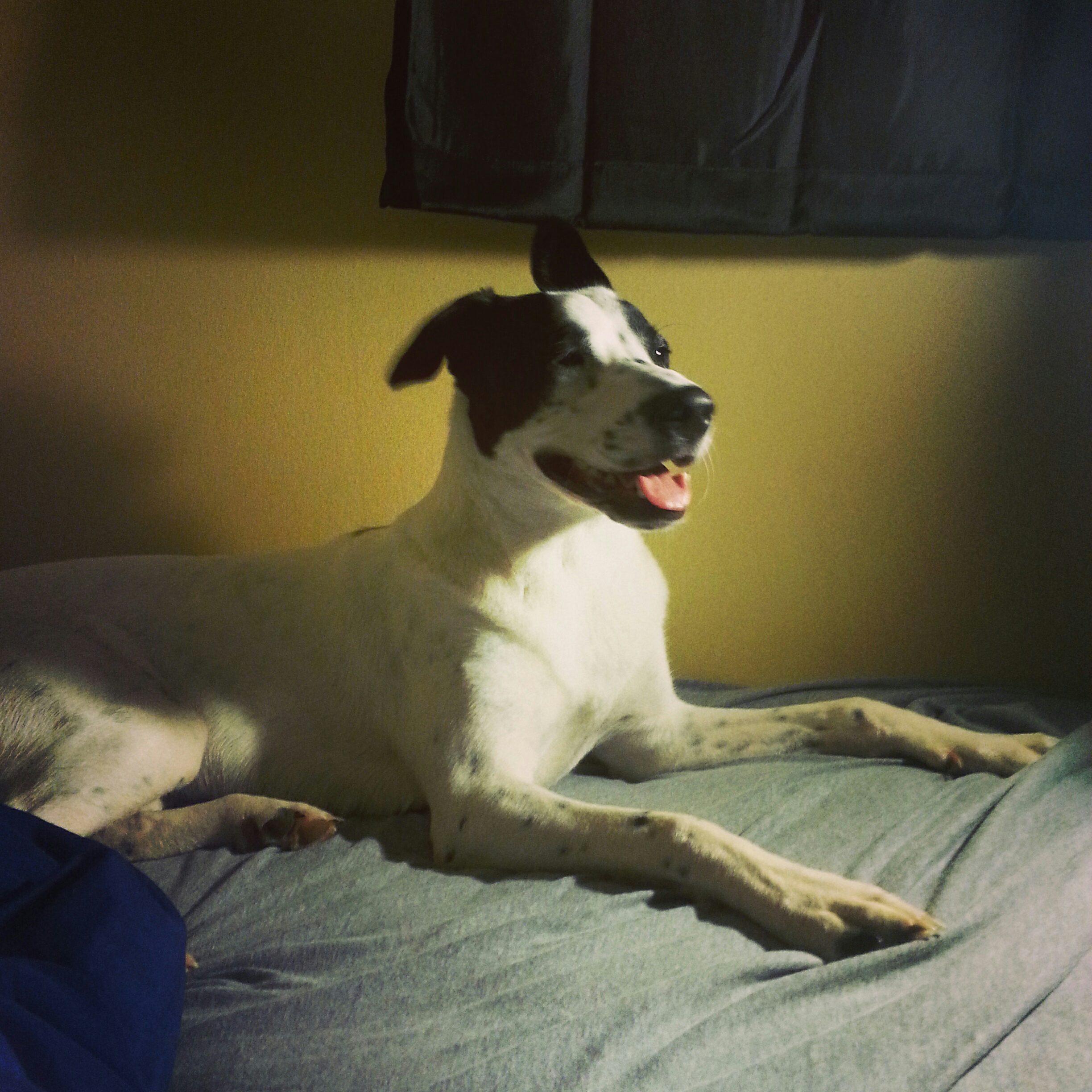 jrhaley88's profile picture. ??!