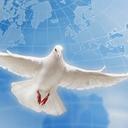 Jan ullrich - @Janhuerta7771 - Twitter