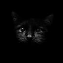 Sergey Stepanchuk - @45799c552ed9427 - Twitter