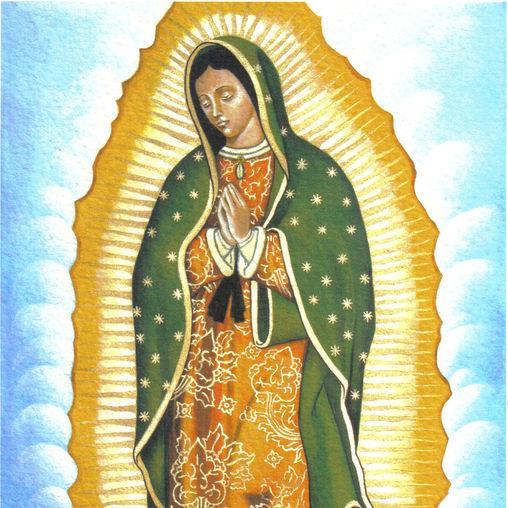 carloskyk's profile picture. 