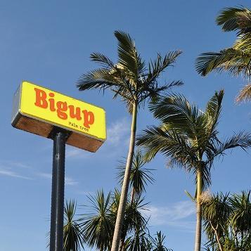 bigup(観葉植物fan)