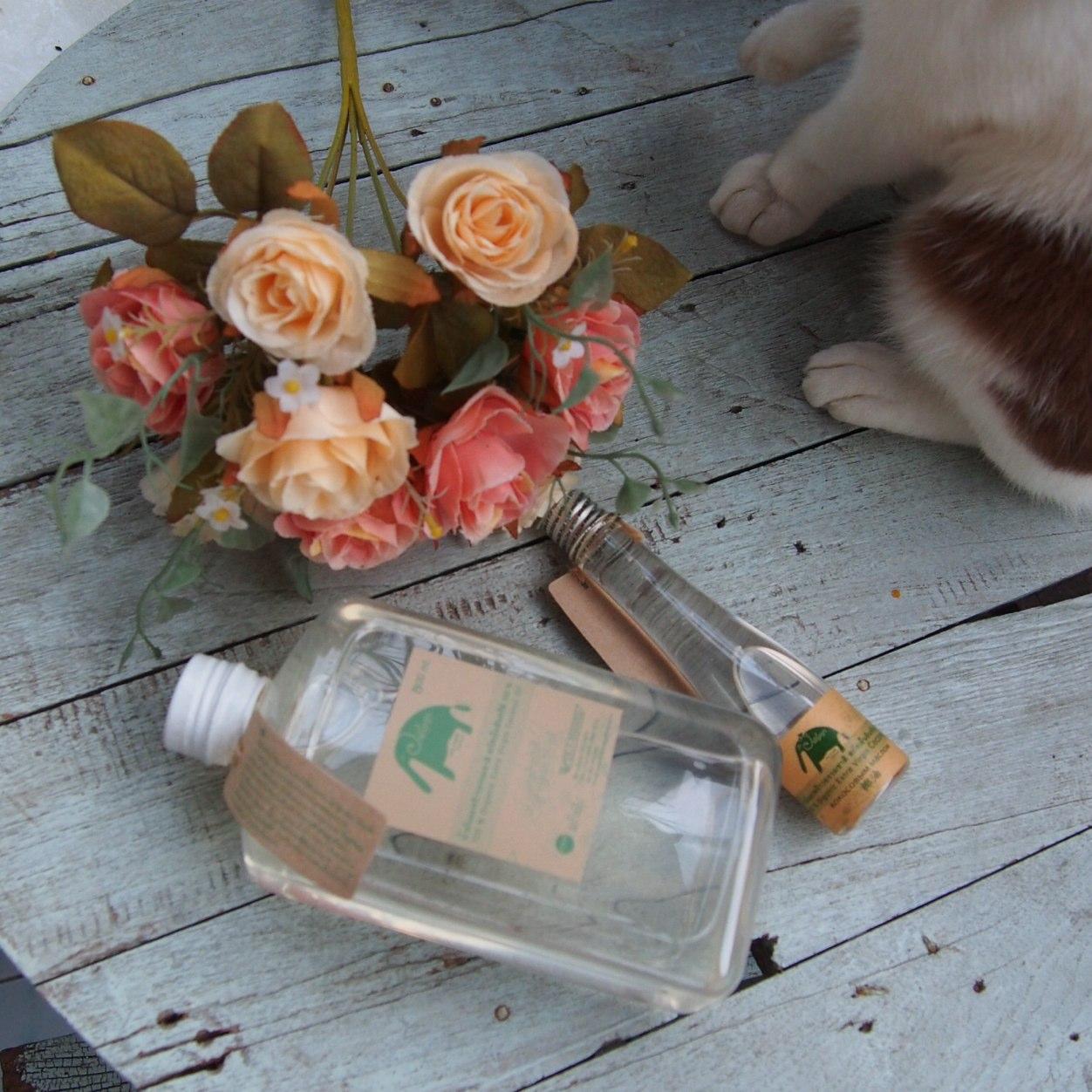 ACoconutoil's profile picture. 