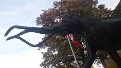 unl_geology's profile picture. Twitter account for all things Nebraska + geology