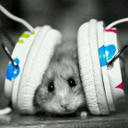 Matthys Basson (@11a8d8099aa34f3) Twitter