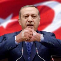 Al Quran #Filistin (@23_book) Twitter profile photo