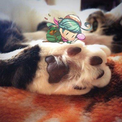 協力・利他関連の社会心理学者（のはず）。消費者行動初心者JKJ。猫・酒・爬虫類で釣ると捕獲率が上昇する。某学会垢の”中の人”。生きることが最優先、無理はしない。ツイートは真面目やないで。Love Cats & Reptile