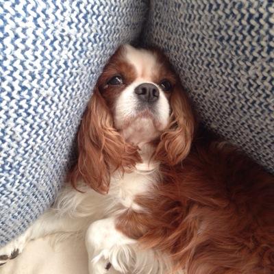 MOTSUSTYLE's profile picture. サカグチトモミ