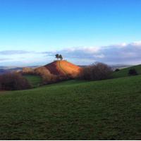 Dorset landscapes(@dorsetlandscape) 's Twitter Profileg