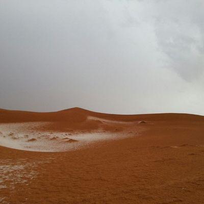 حمود الحميدي ابن فضوى المطيري