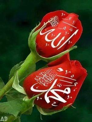 ‏علاج الشلل السكر البرص امراض النفسية ضعف الجنس واصلوا معنا علي الواتساب ٠٠٢٣٥٦٦٢٧٠٩٧٩