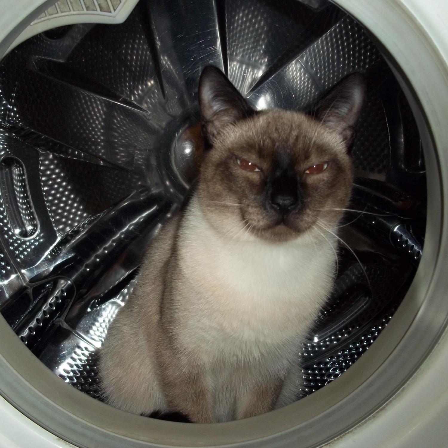 nalimov1989's profile picture. 