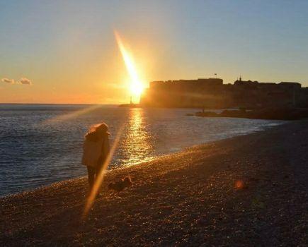 NinaRezic's profile picture. 