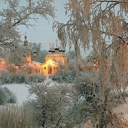 lesnyaks's profile picture. 