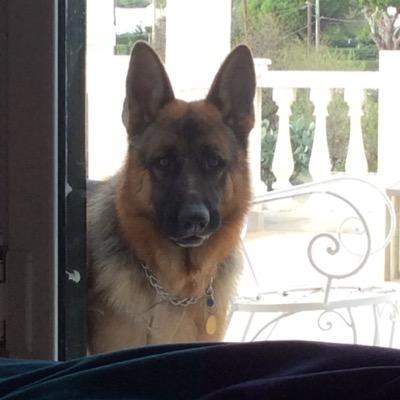 prigmar's profile picture. 