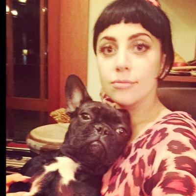 *Just another twitter account for da queen Lady Gaga* *Saw Gaga live 30/9-2014* *Little monster since 2008* *Asia is bæ* *Gaga is my lifesaver*