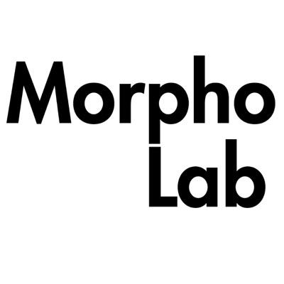 morpho_lab's profile picture. MorphoLab : Research group. Exploring new science of the city through its singularities. Systemic modeling and theorising emergent cities releated to new tech