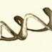 mainly re-tweeting interesting subjects (french or english) around going one step further in the Human Evolution