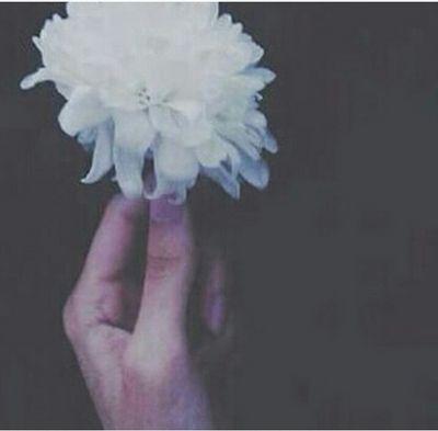 ‏الحمدلله، لا اله الا الله، استغفر الله، الله أكبر~الخاص ممنوع؛`