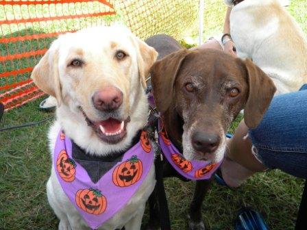 jillmarie_lvt's profile picture. 