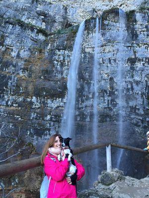 lsaez24's profile picture. 