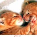 Joanne Batista - @JoanneBatistaJB - Twitter