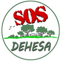 Sos Dehesa (@sosdehesa) 's Twitter Profile