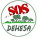 Sos Dehesa (@sosdehesa) Twitter profile photo