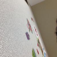 kirtz @中高英語 (@kirtz_makms) 's Twitter Profile