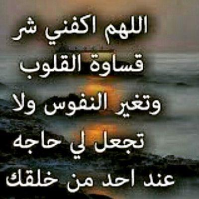 bombe960's profile picture. 