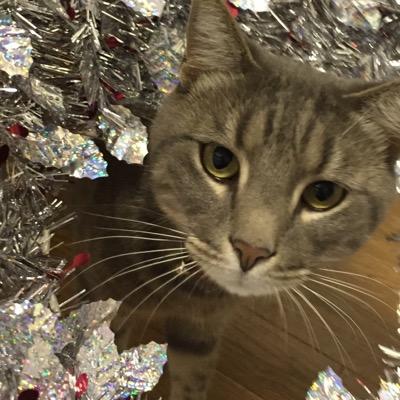 revenuedawg's profile picture. Works for the state, loves to travel and play fantasy football